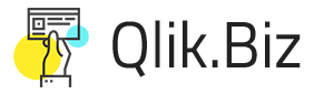 Qlik Biz